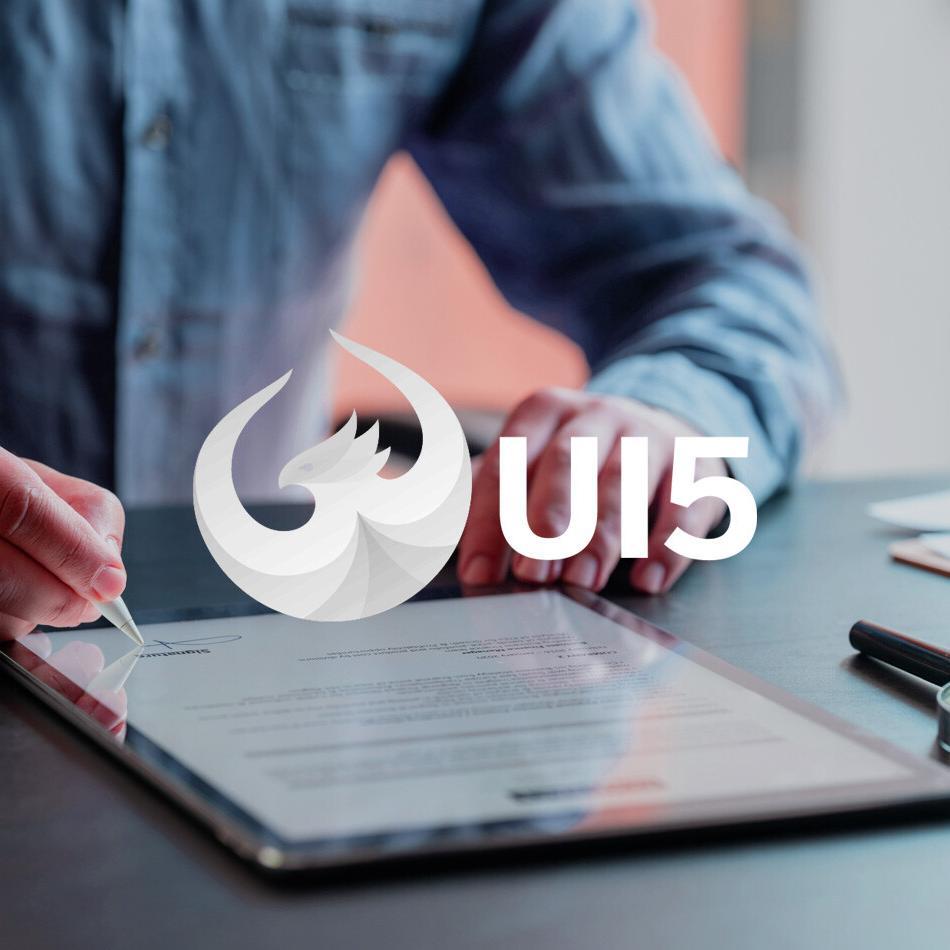 UI5 FIORI ist ein Standard für eine moderne SAP UX.