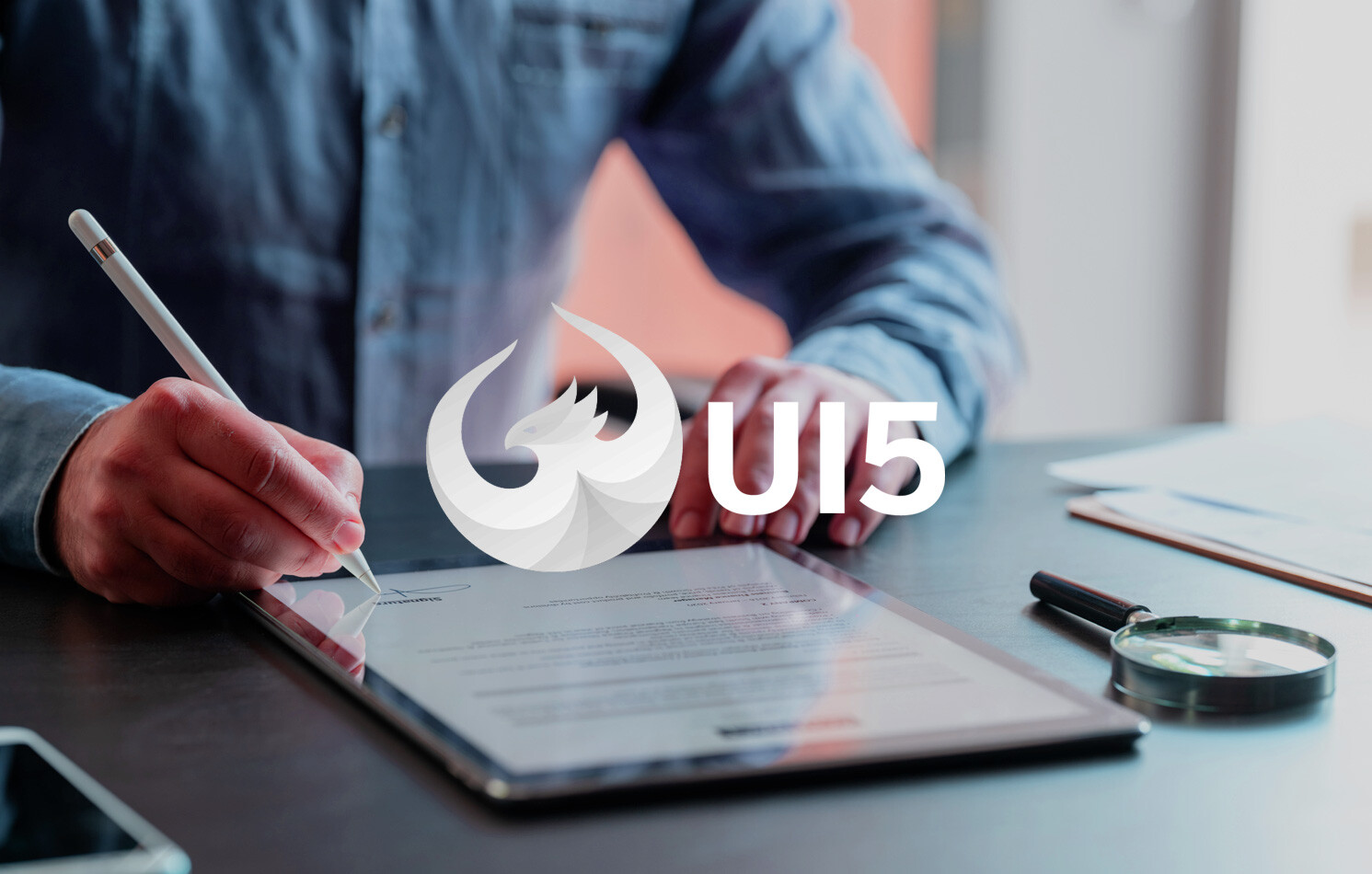 UI5 FIORI ist ein Standard für eine moderne SAP UX.